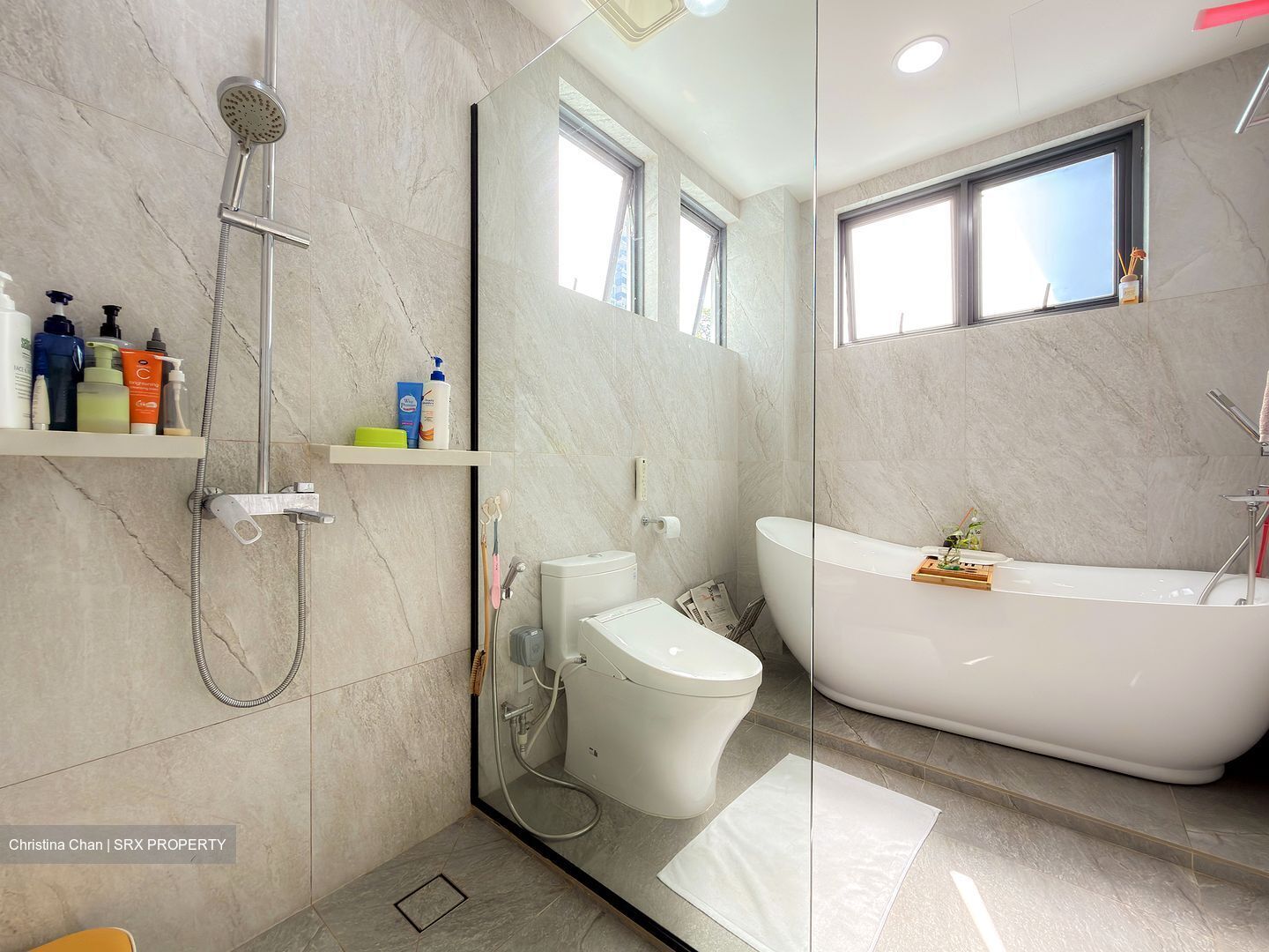 Seletar Park (D28), Semi-Detached #564082591